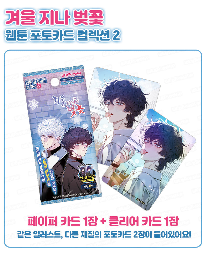 Cherry Blossoms After Winter Photo Cards Version 2