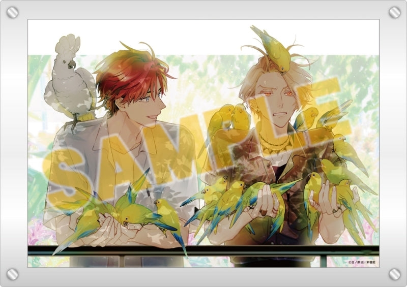 Vorbestellung Therapy Game Acryl Bild