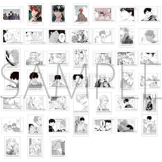 Vorbestellung Given Exhibition Merchandise Polaroid