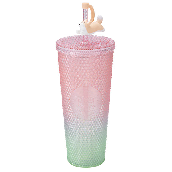 Vorbestellung Starbucks Sakura TAIWAN Version 2026