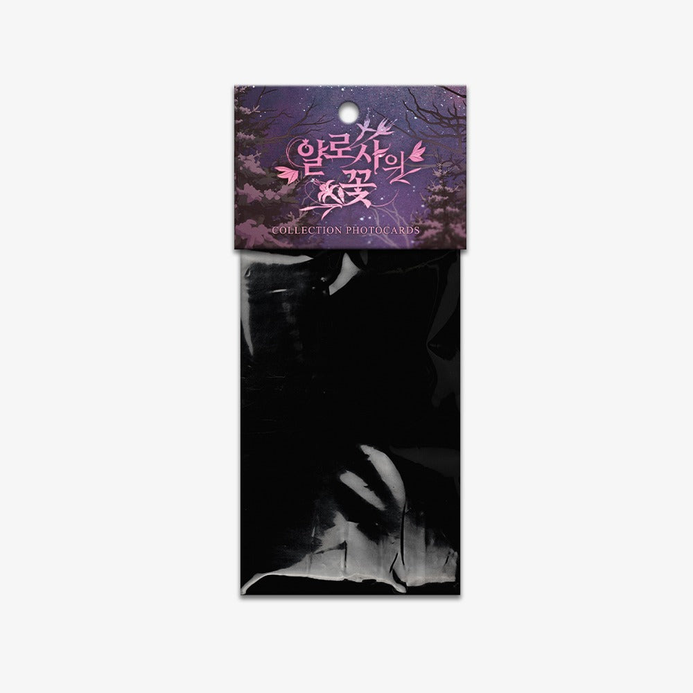 Vorbestellung The Search For Alosha Photo Cards