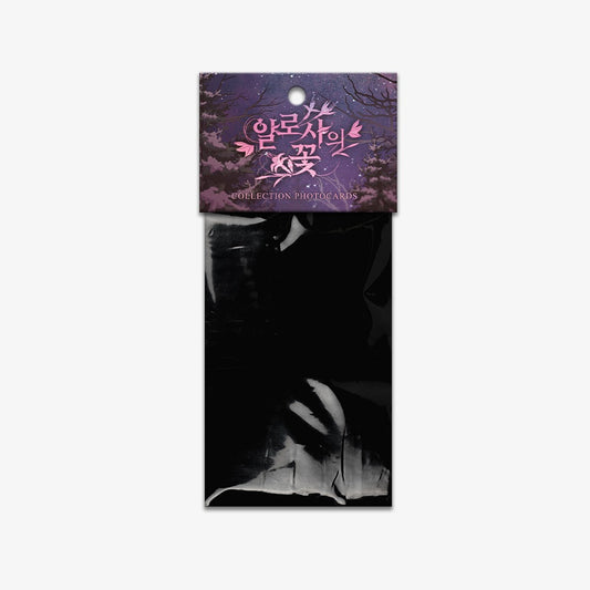 Vorbestellung The Search For Alosha Photo Cards