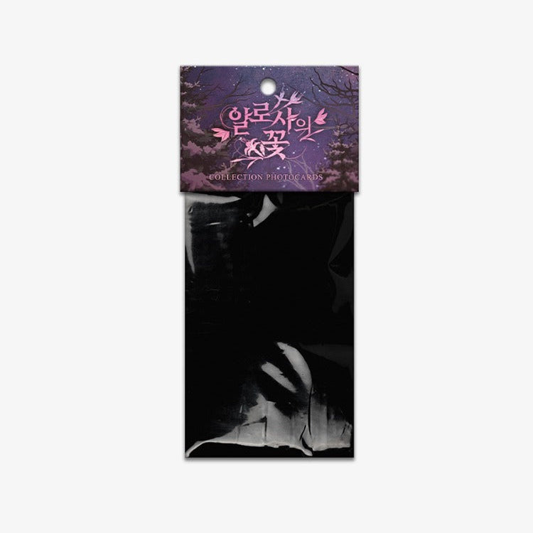 The Search For Alosha Photo Cards