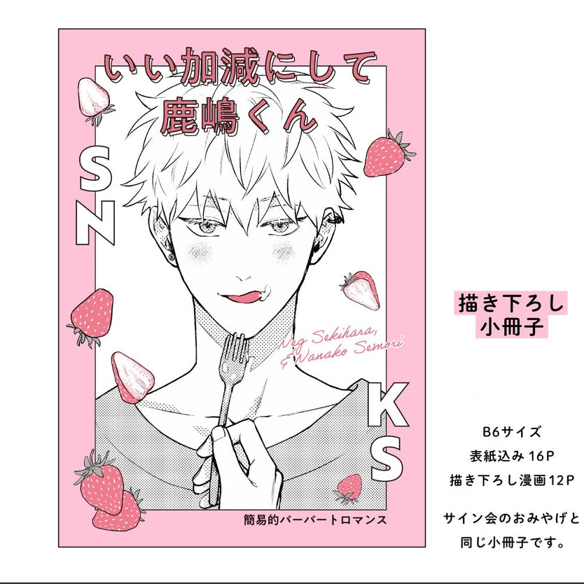 Simplified Pervert Romance 16 Seiten Booklet
