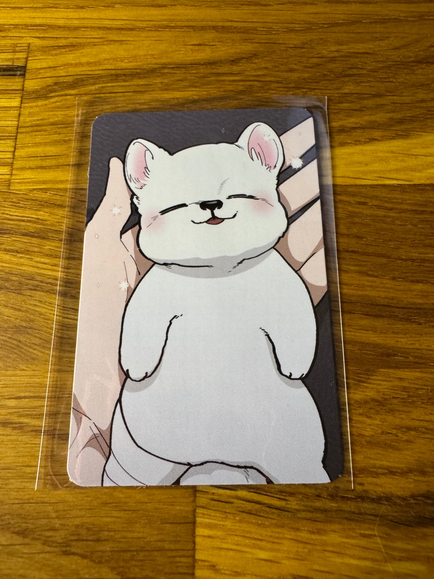 Einzelne Photo Cards verschiedener Serien