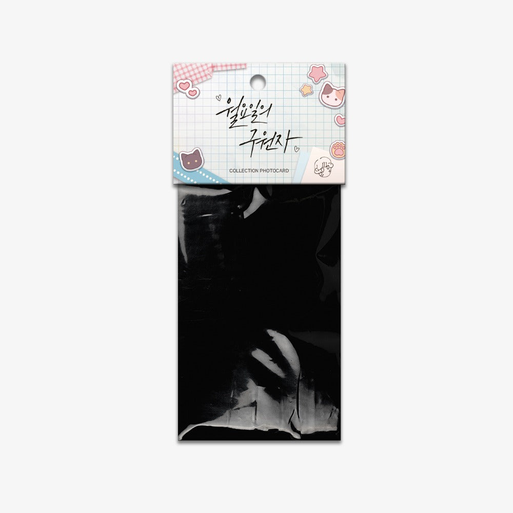 Vorbestellung Save the Dae Photo Cards