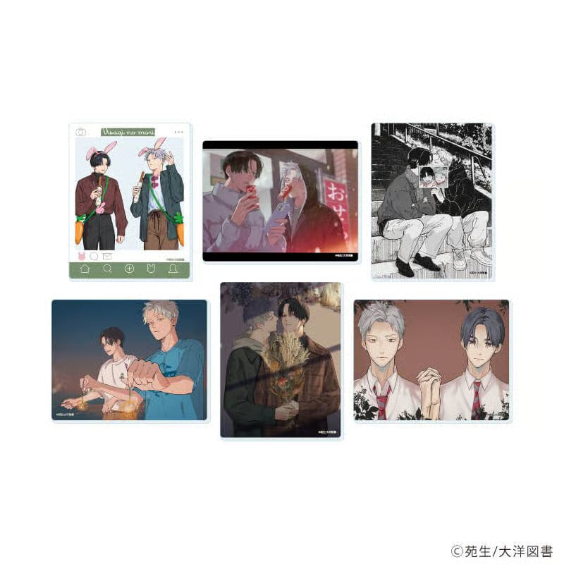 Vorbestellung Forest of Rabbits Merchandise