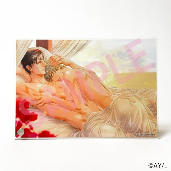 Vorbestellung Be Boy Gold Merchandise